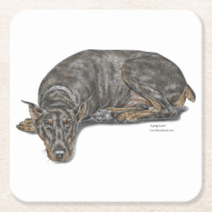 Sad Guilty Looking Doberman Square Paper Coaster