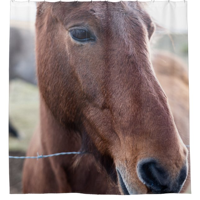 SAD HORSE (Front)