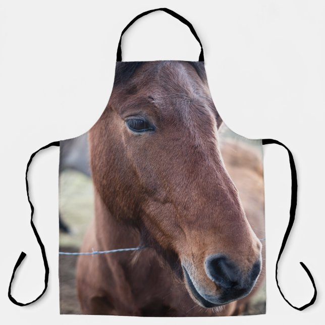 SAD HORSE APRON (Front)