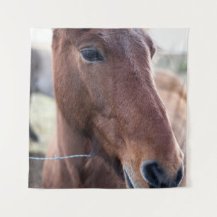 SAD HORSE TAPESTRY