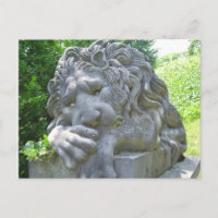 Sad Lion Postcard