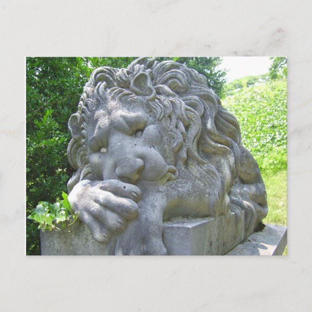 Sad Lion Postcard (Front)
