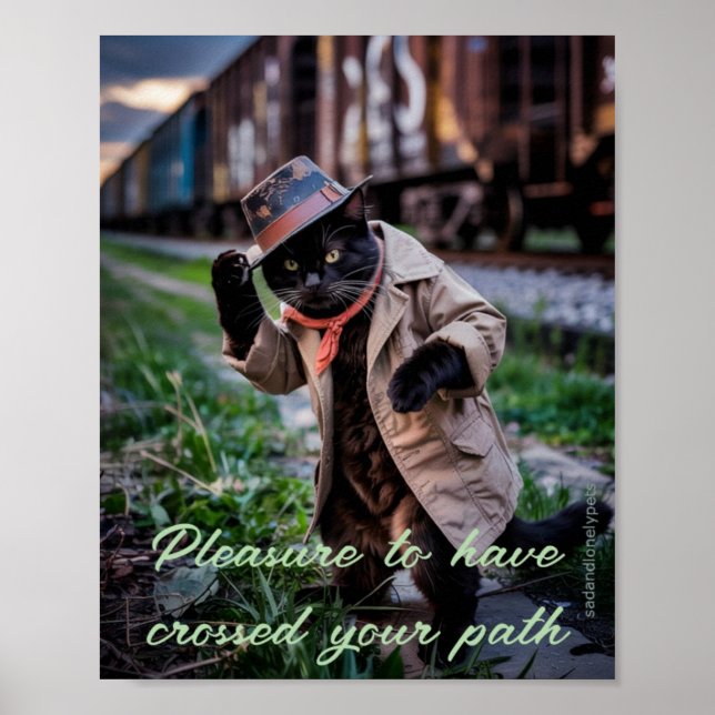 Sad & Lonely Pets Poster Print: Black Cat Pleasure (Front)