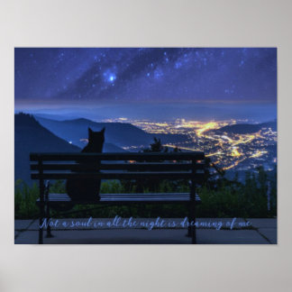 Sad & Lonely Pets Poster Print: Lonely Night Cat