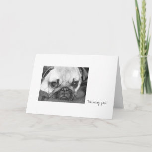 Sad Pug Card