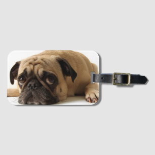Sad Pug Luggage Tag