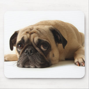 Sad Pug Mouse Pad