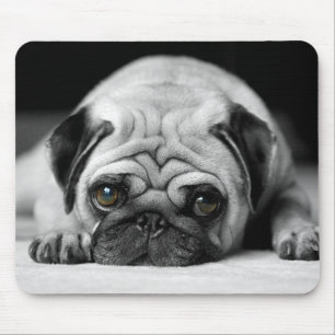 Sad Pug Mouse Pad