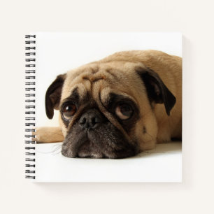 Sad Pug Notebook