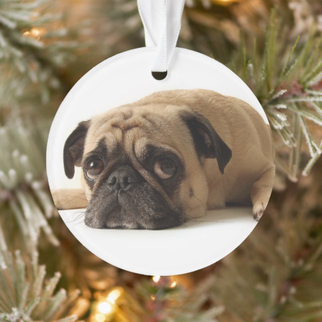 Sad Pug Ornament (Tree)