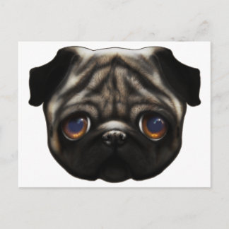 Sad Pug postcard