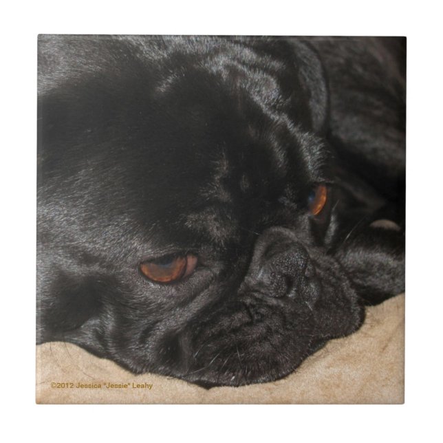 Sad Pug Tile (Front)
