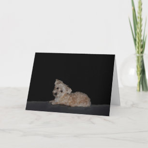 Sad Puppy Get Well Card