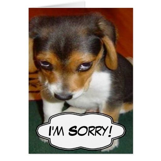 Sad Puppy - I'm Sorry Card | Zazzle