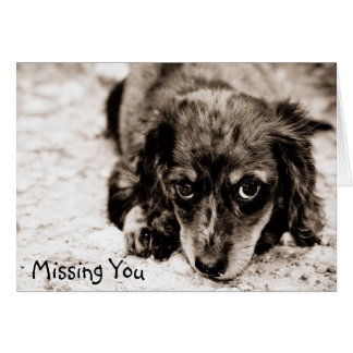 Sad Dog Miss You Cards, Photocards, Invitations & More