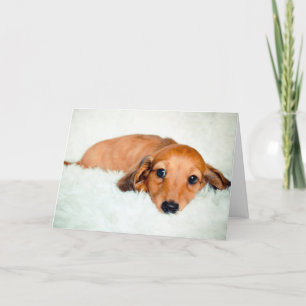 Sad Puppy Missing You Card