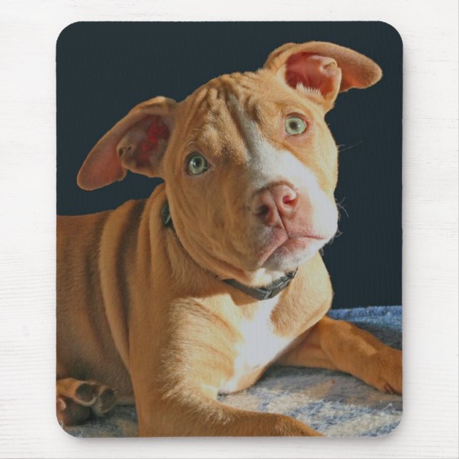 Sad Puppy Pit Bull Dog Doggy Mousepad (Front)