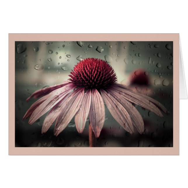 sad solitude (Front Horizontal)