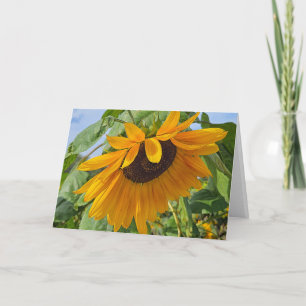 Sad Sunflower Card
