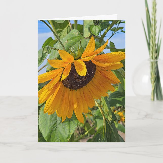 Sad Sunflower  Card (Front)