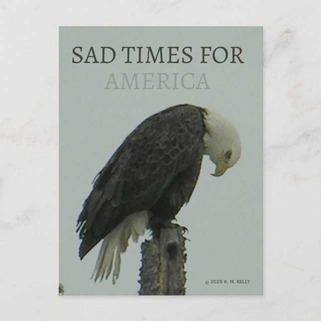 SAD TIMES FOR AMERICA - By - K. M. Kelly -  Postcard (Front)