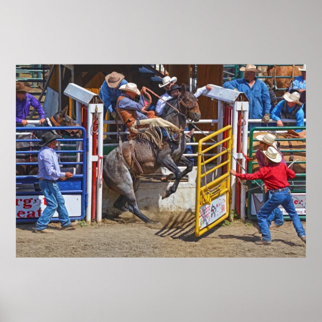 Saddle Bronc Breaking Out of Rodeo Chute w Cowboy Poster (Front)