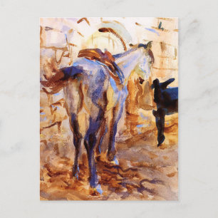 Saddle Horse, Palestine by John Singer Sargent Postcard