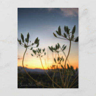 Saddle Rock Sunset Postcard