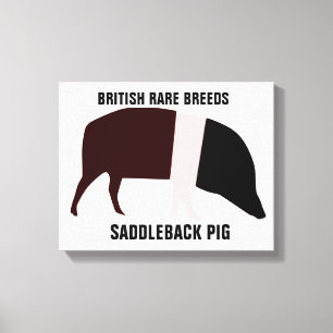 Saddleback Pig Canvas Print
