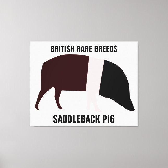 Saddleback Pig Canvas Print (Front)