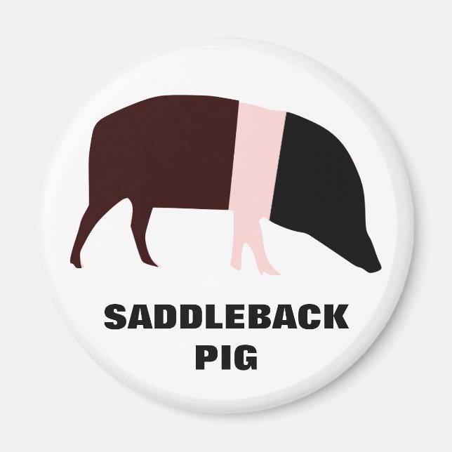 Saddleback Pig Customizable Magnet (Front)