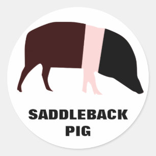 Saddleback Pig Customizable Sticker