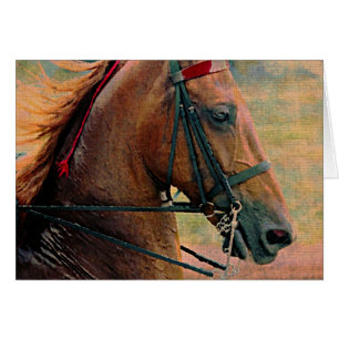 Saddlebred Faux Painting