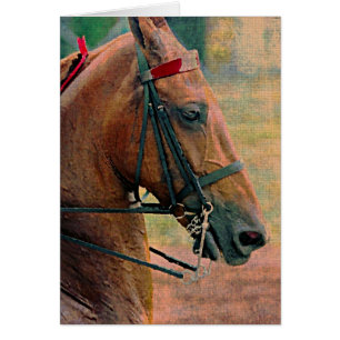 Saddlebred Faux Painting