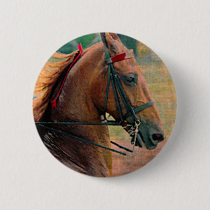 Saddlebred Faux Painting 2 Inch Round Button