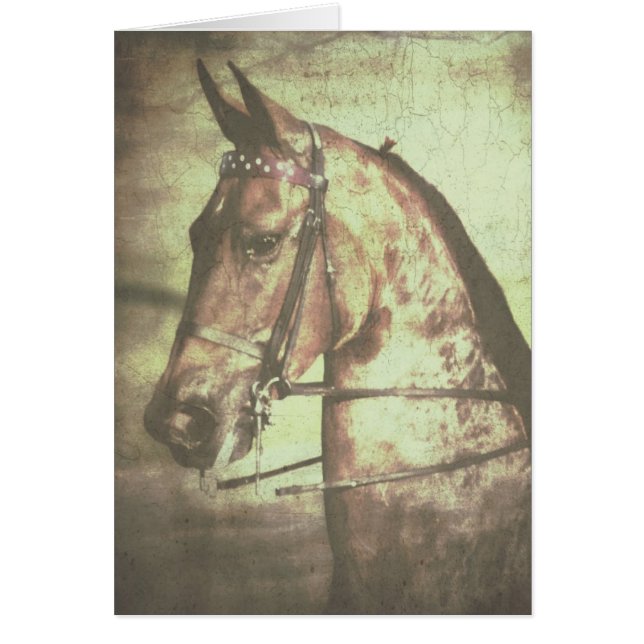 Saddlebred Horse (Front)