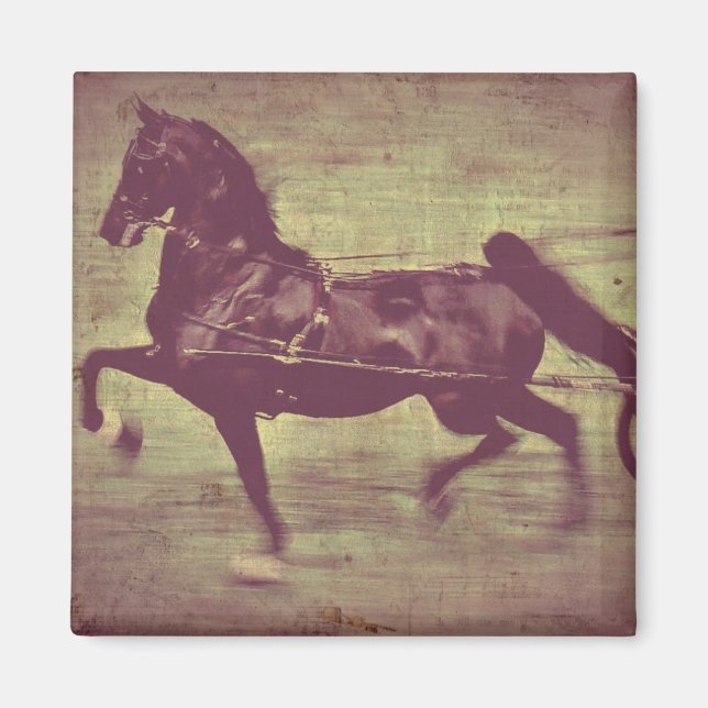 Saddlebred Song Magnet (Front)