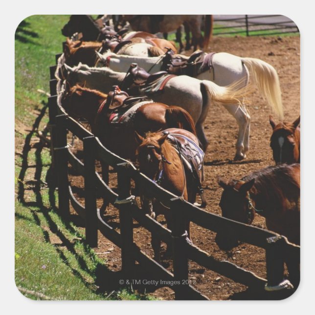Saddled horses in corral square sticker (Front)