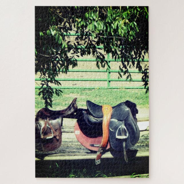 Saddles Puzzle (Vertical)