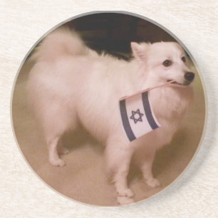 Sadie the Jewish Dog Coaster