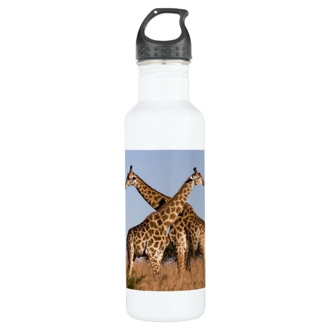 Safari Africa Giraffes 710 Ml Water Bottle (Front)