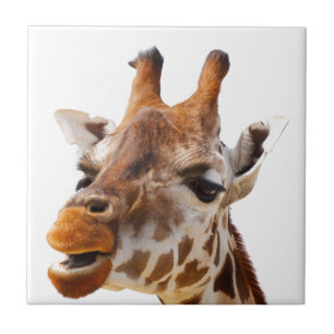 Safari Africa Jungle Giraffe Tile