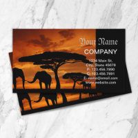 Safari African Baobab tree elephant silhouette