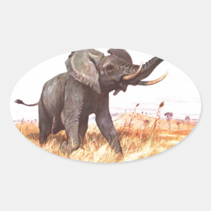 Safari African Jungle Destiny Animals Elephants Oval Sticker