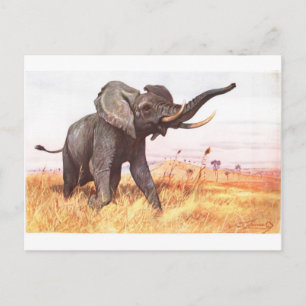 Safari African Jungle Destiny Animals Elephants Postcard