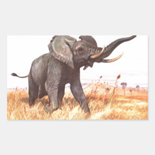 Safari African Jungle Destiny Animals Elephants Sticker