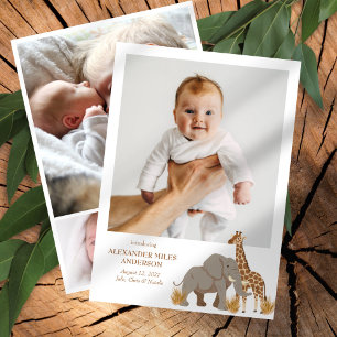 Safari Animaux Photos Nouveau Faire-part bébé