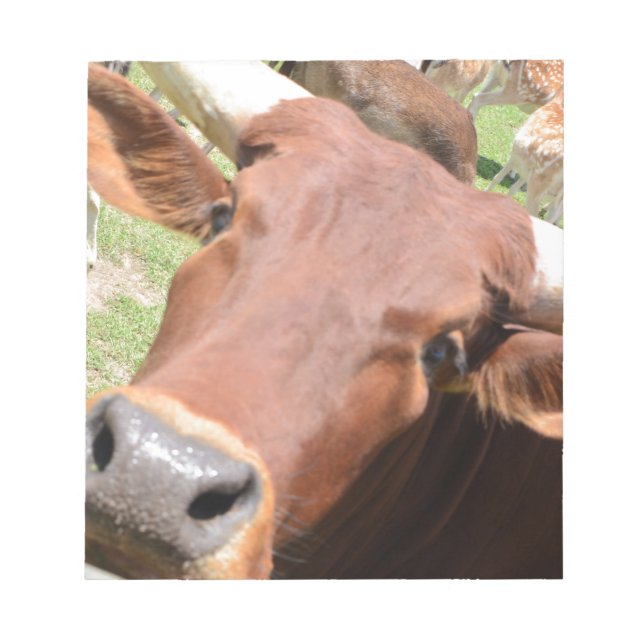 Safari Brown Cow Notepad (Front)