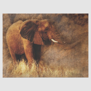 safari elephant tissue paper
