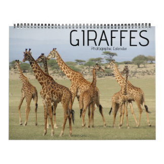 safari girafe calendrier 2025